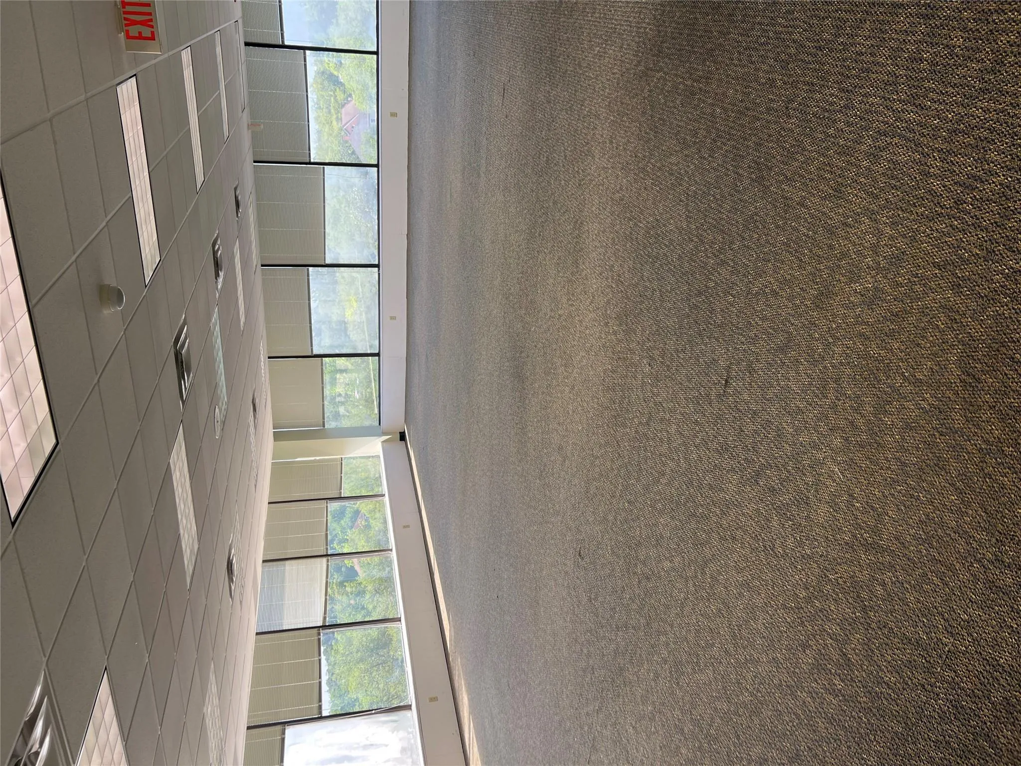 Empty room with plenty of natural light, a drop ceiling, and carpet flooring Empty room with plenty of natural light, a drop ceiling, and carpet flooring