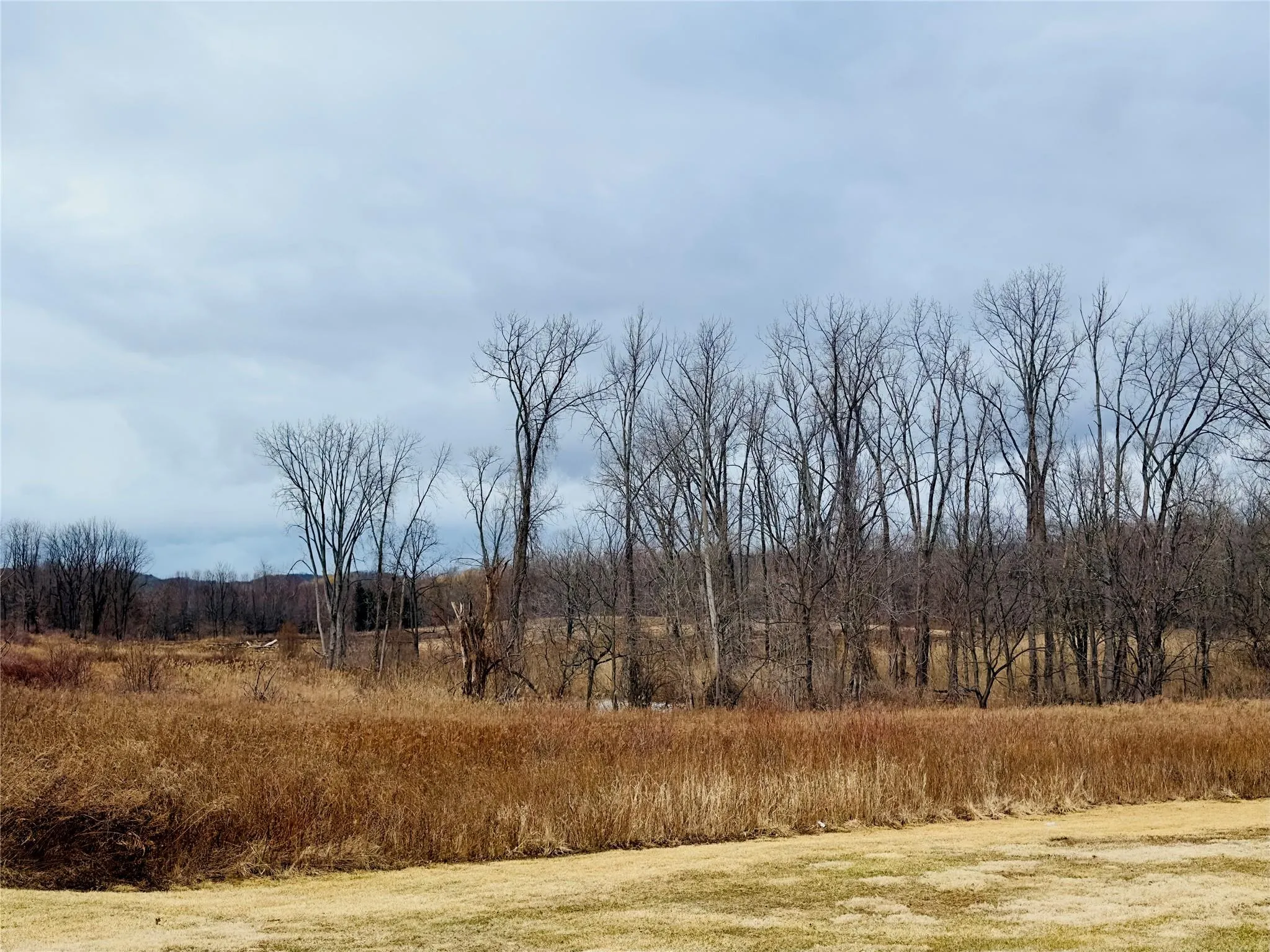 326 Cornwall Hill Road, Patterson, NY, ,Land,For Rent,Cornwall Hill,0,833181 326 Cornwall Hill Road, Patterson, NY, ,Land,For Rent,Cornwall Hill,0,833181