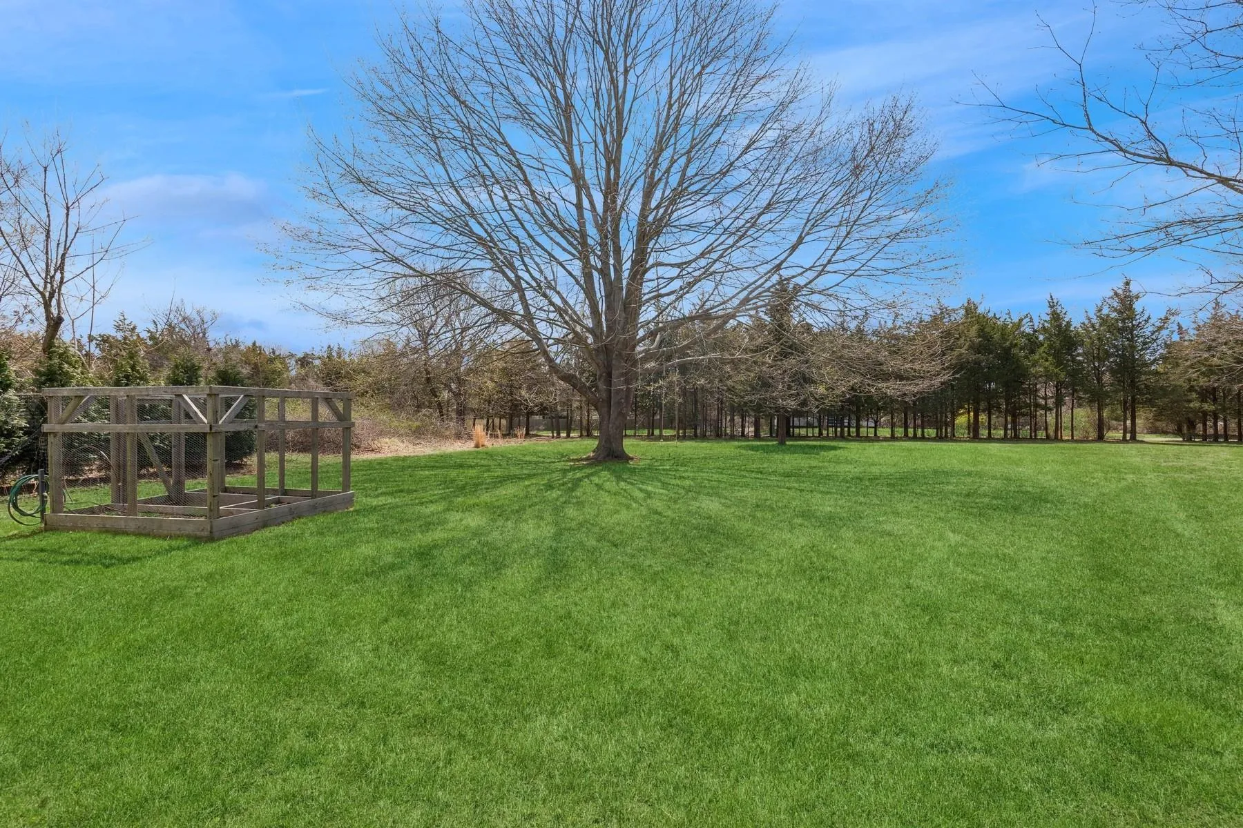 View of yard View of yard