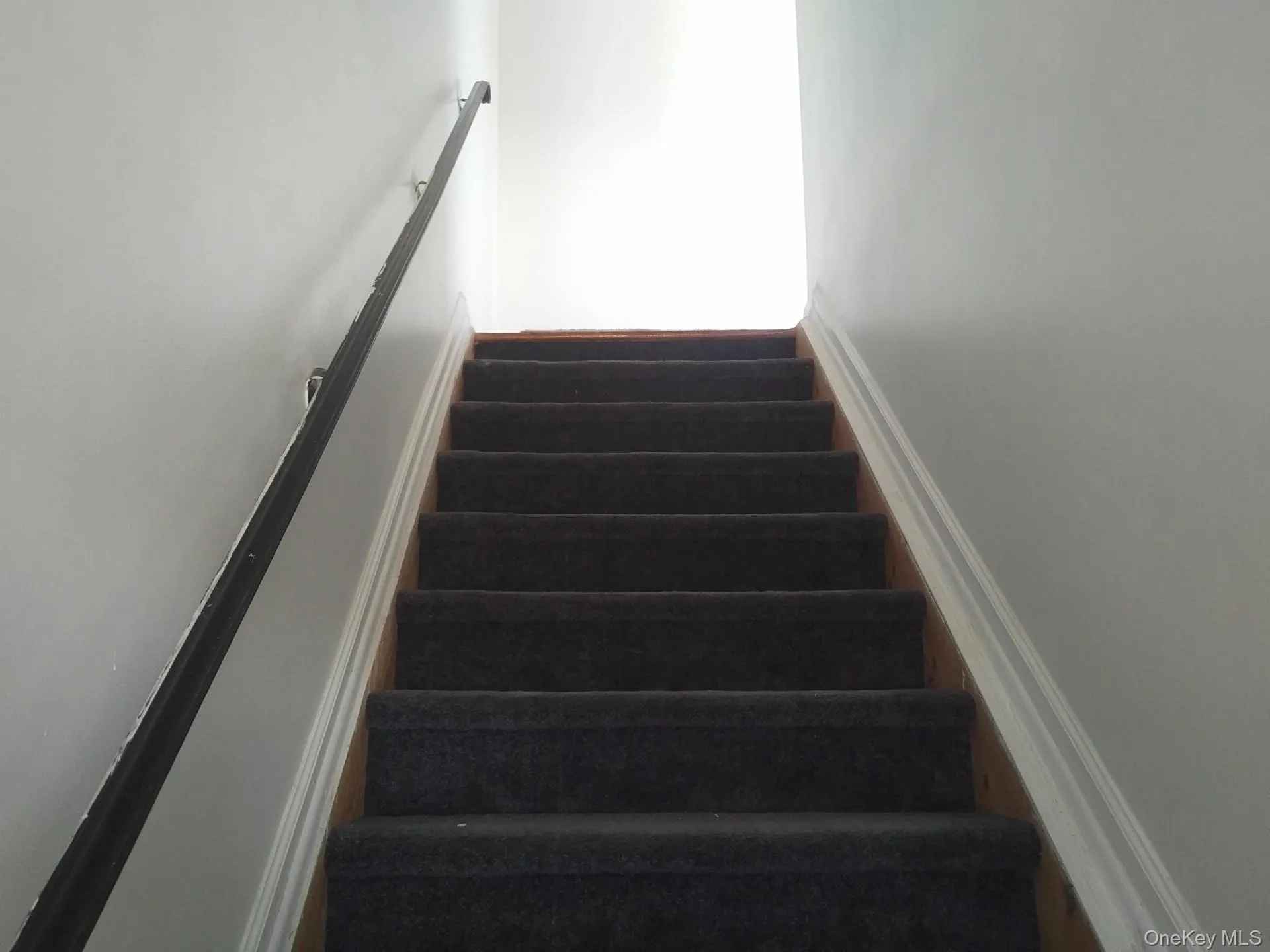 680 Wortman Avenue, New York, NY, 3 Bedrooms Bedrooms, 6 Rooms Rooms,1 BathroomBathrooms,Residential Lease,For Rent,Wortman,0,834323 680 Wortman Avenue, New York, NY, 3 Bedrooms Bedrooms, 6 Rooms Rooms,1 BathroomBathrooms,Residential Lease,For Rent,Wortman,0,834323