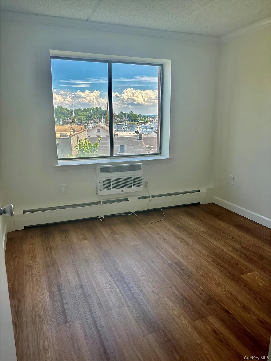 Spare room with a wall mounted AC, wood finished floors, crown molding, and baseboard heating Spare room with a wall mounted AC, wood finished floors, crown molding, and baseboard heating