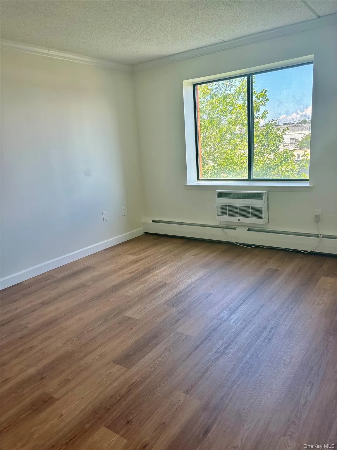 Unfurnished room with a wall unit AC, wood finished floors, a textured ceiling, and ornamental molding Unfurnished room with a wall unit AC, wood finished floors, a textured ceiling, and ornamental molding