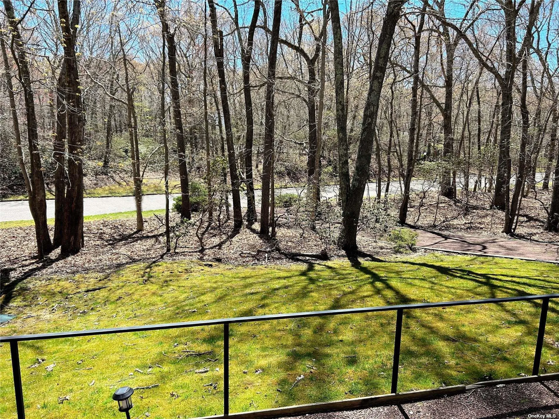 Front Yard Front Yard