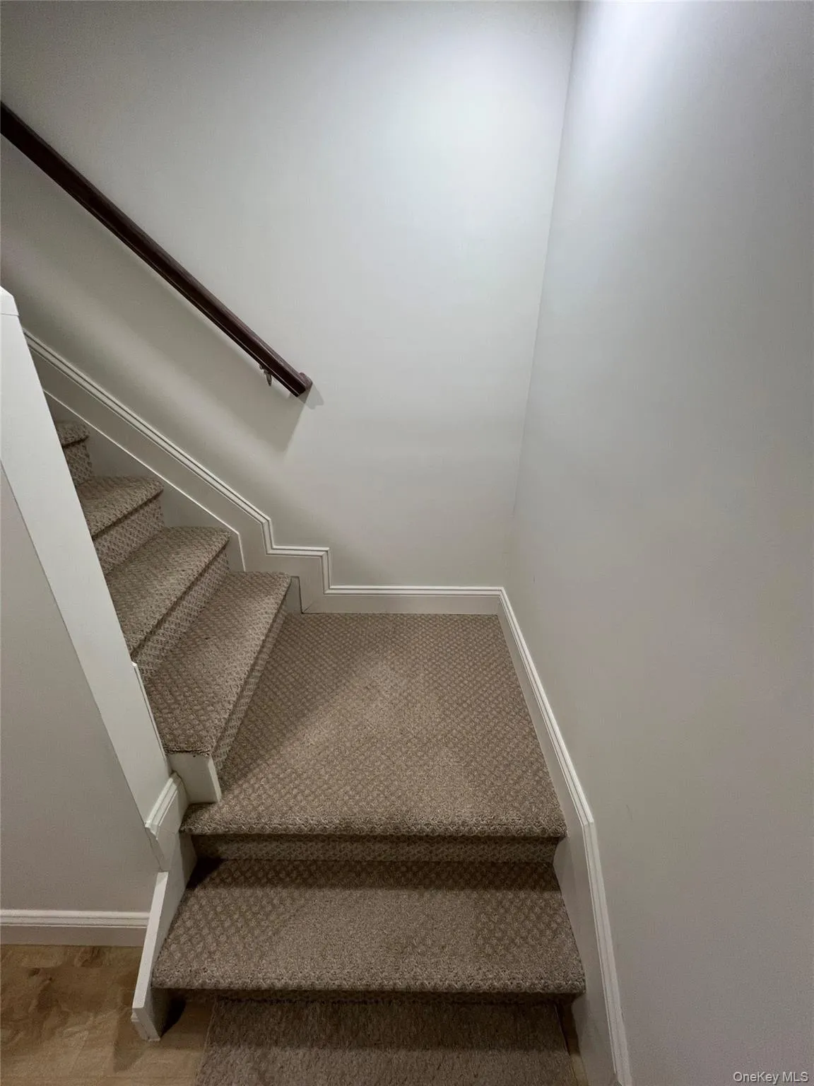 Stairway featuring carpet floors in basement Stairway featuring carpet floors in basement