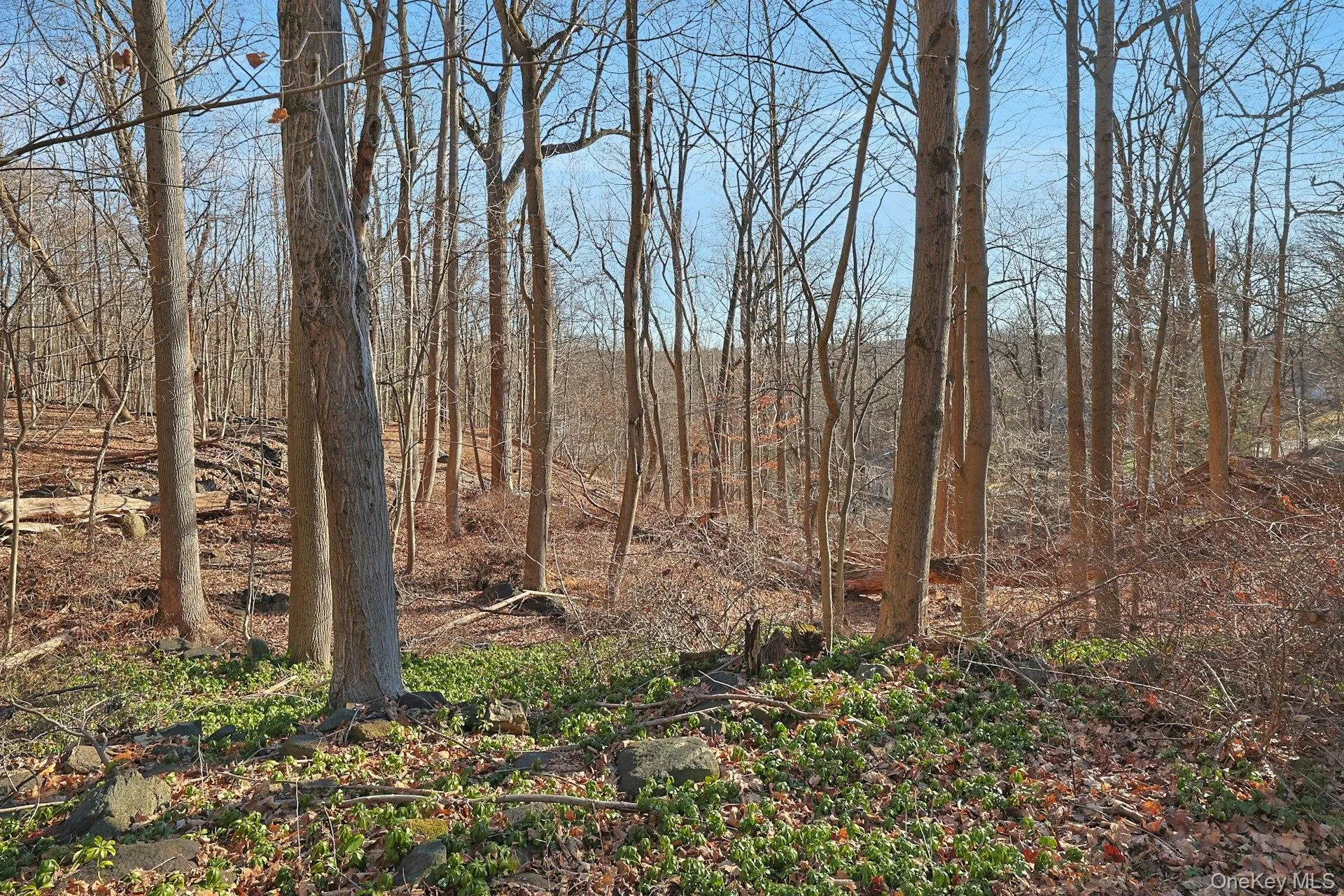 With three separate lots, there is so much potential here. With three separate lots, there is so much potential here.