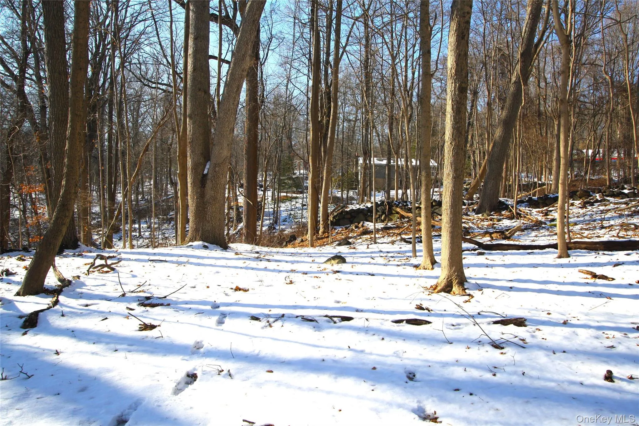 Looking back, we can see the home in the distance - further emphasizing the expansiveness of this beautiful property. Stop by and see all that this has to offer! Looking back, we can see the home in the distance - further emphasizing the expansiveness of this beautiful property. Stop by and see all that this has to offer!