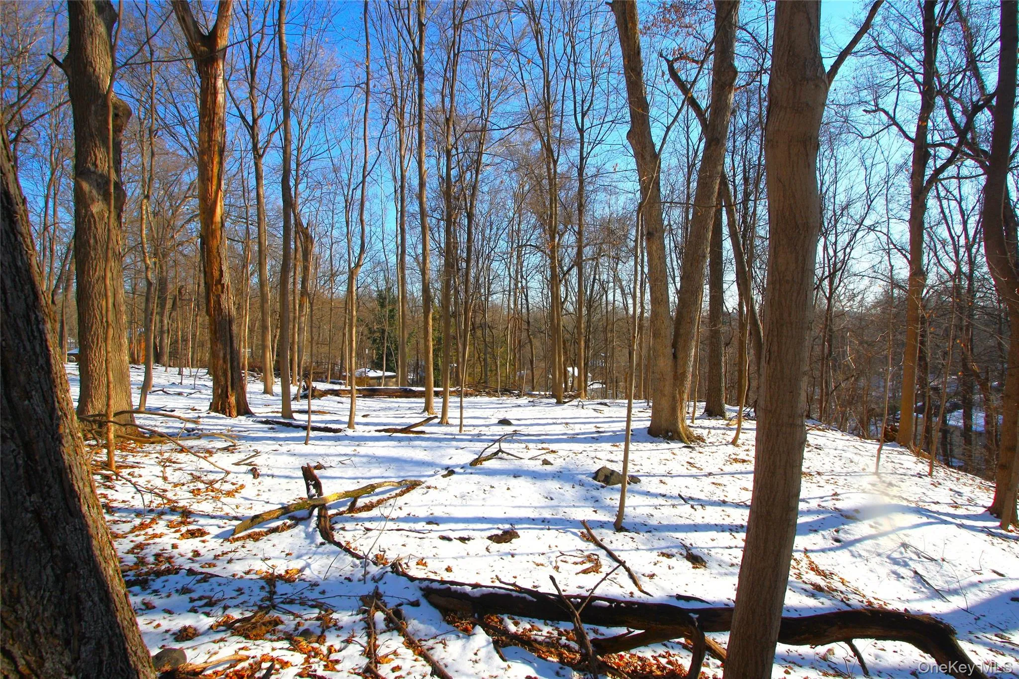 This large, flat area is the third lot. This large, flat area is the third lot.