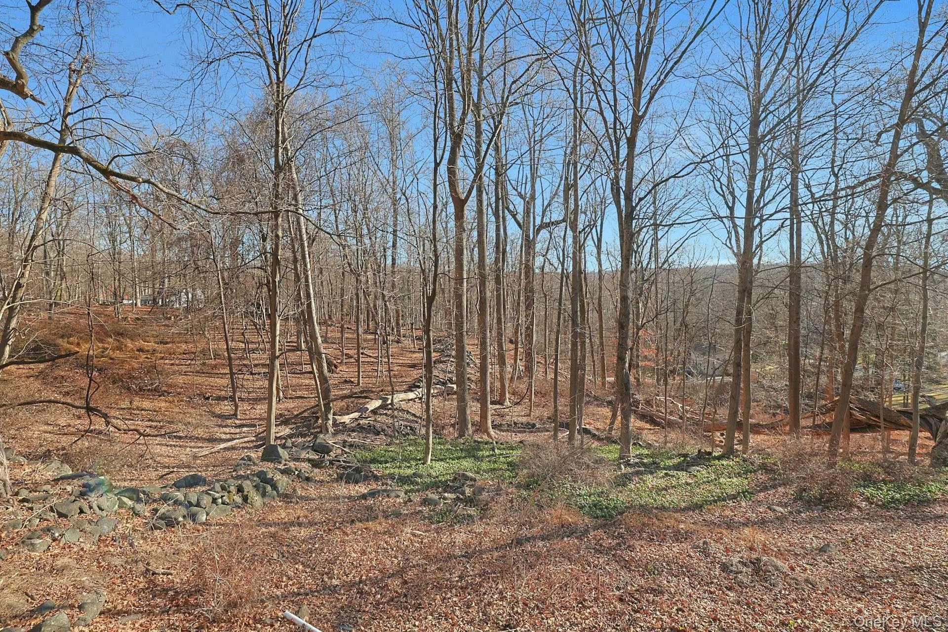 The house sits on just shy of two acres of lush, rolling property. The house sits on just shy of two acres of lush, rolling property.