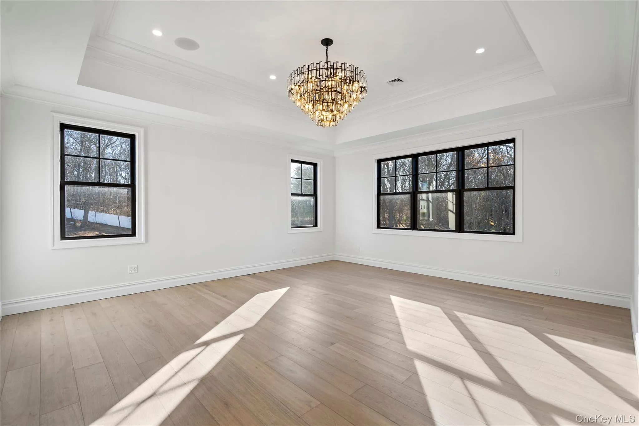 Spare room with a chandelier, ornamental molding, light wood-type flooring, and a tray ceiling Spare room with a chandelier, ornamental molding, light wood-type flooring, and a tray ceiling