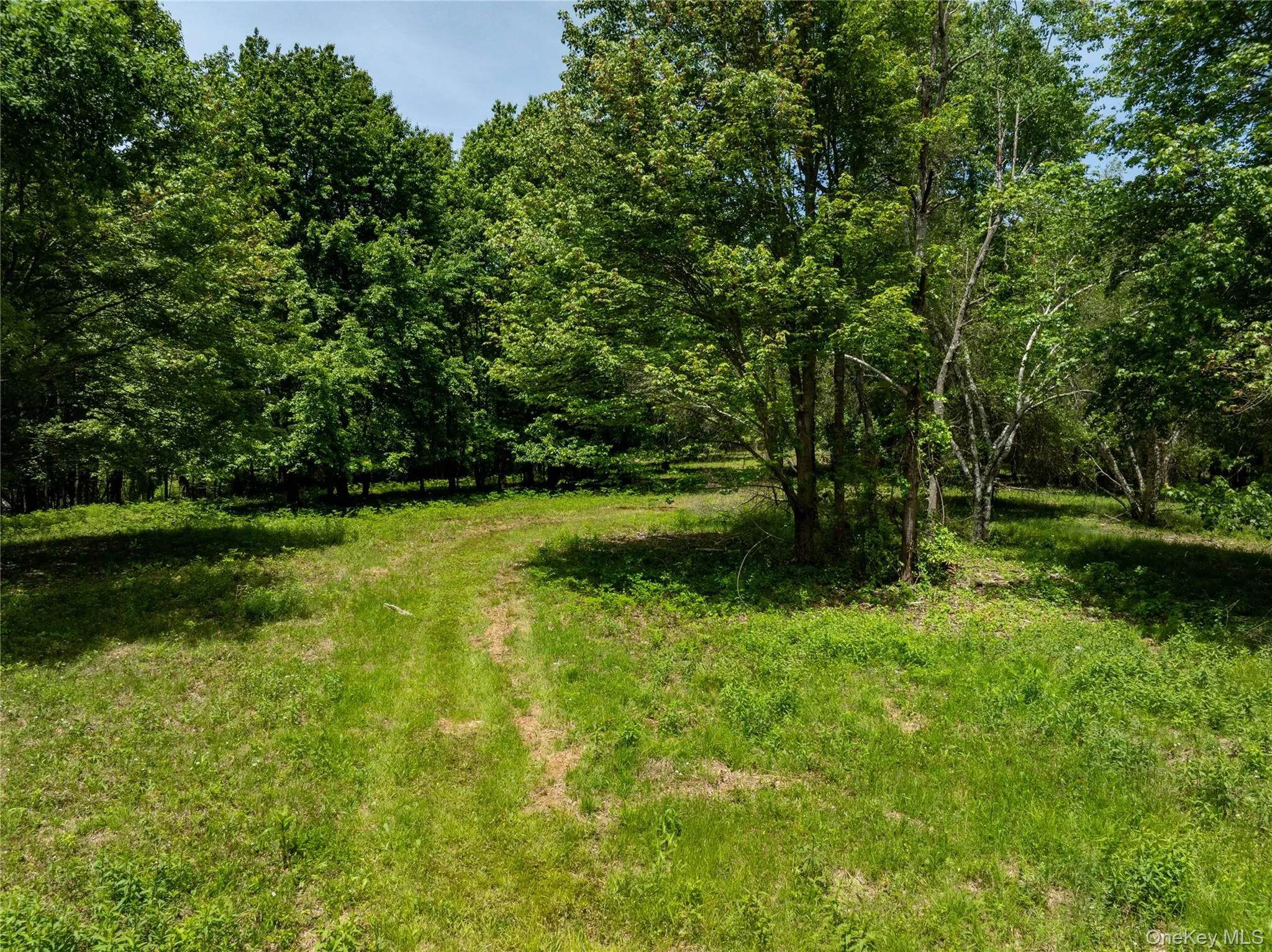 View of yard featuring a wooded view View of yard featuring a wooded view