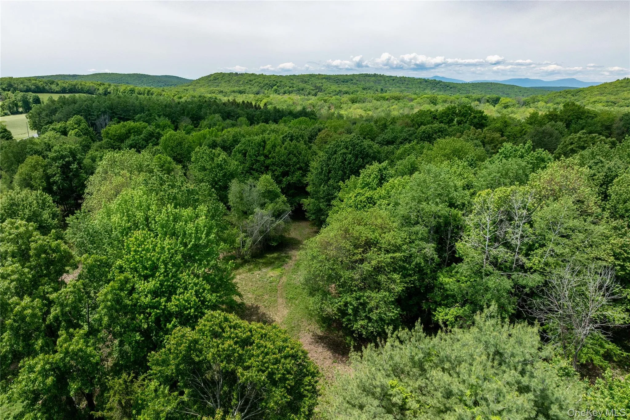 Mountain view with a heavily wooded area Mountain view with a heavily wooded area