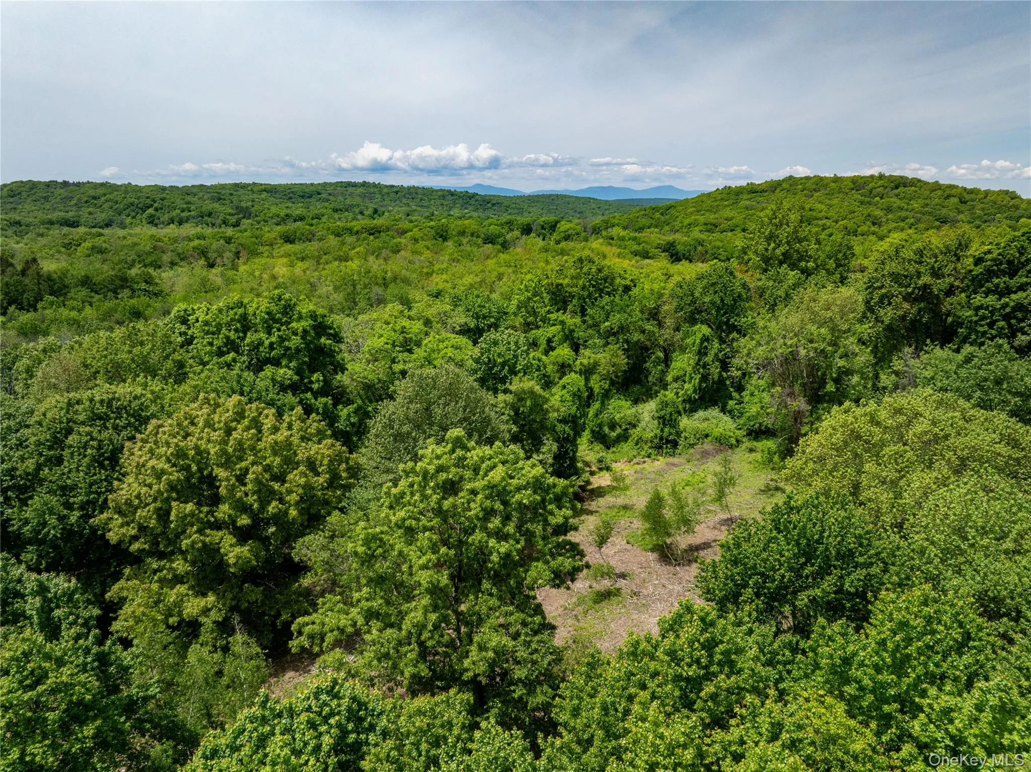 00 Route 7, Copake, NY, ,Land,For Rent,Route 7,0,838673 00 Route 7, Copake, NY, ,Land,For Rent,Route 7,0,838673