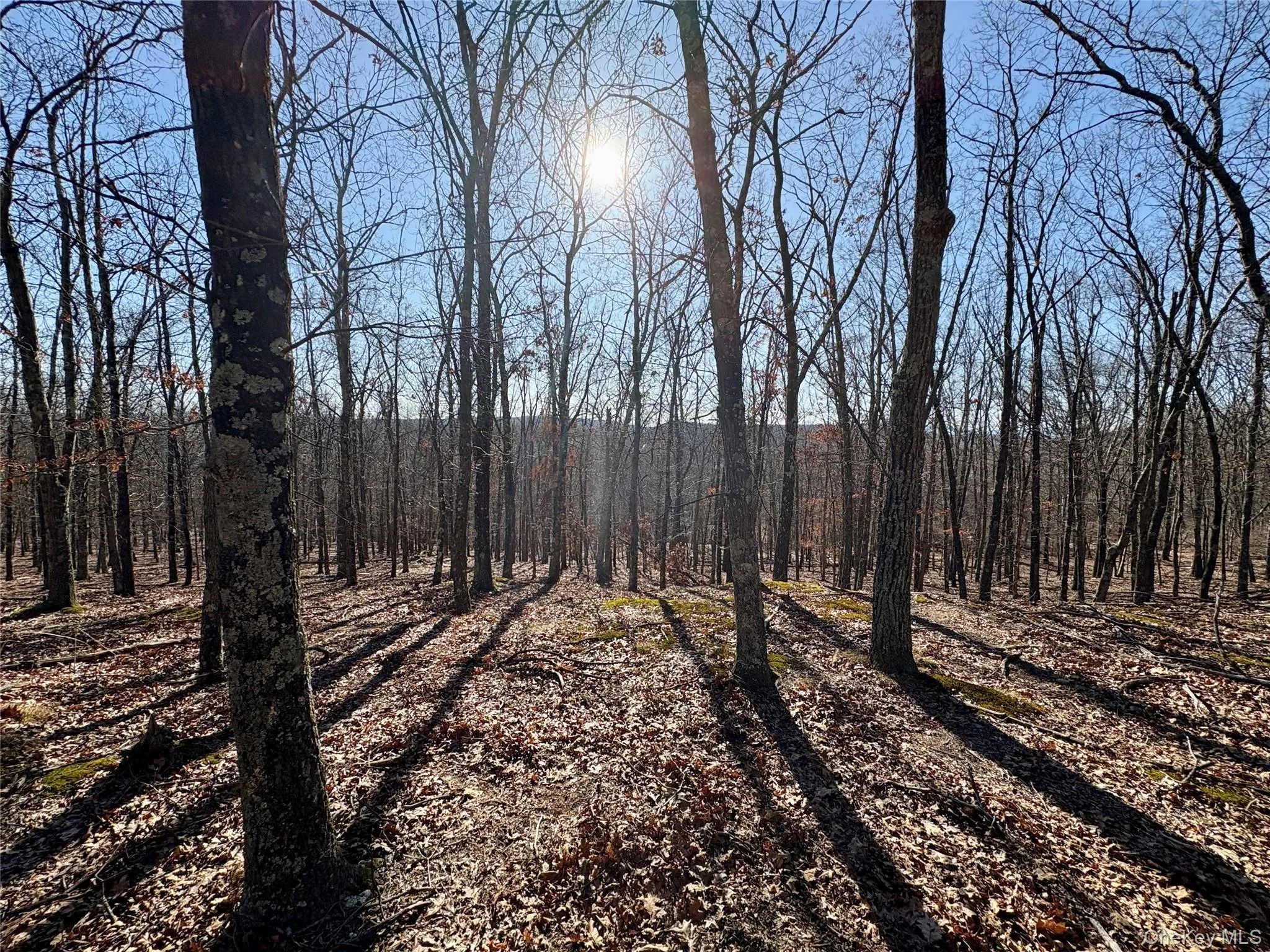 View of landscape with a wooded view View of landscape with a wooded view