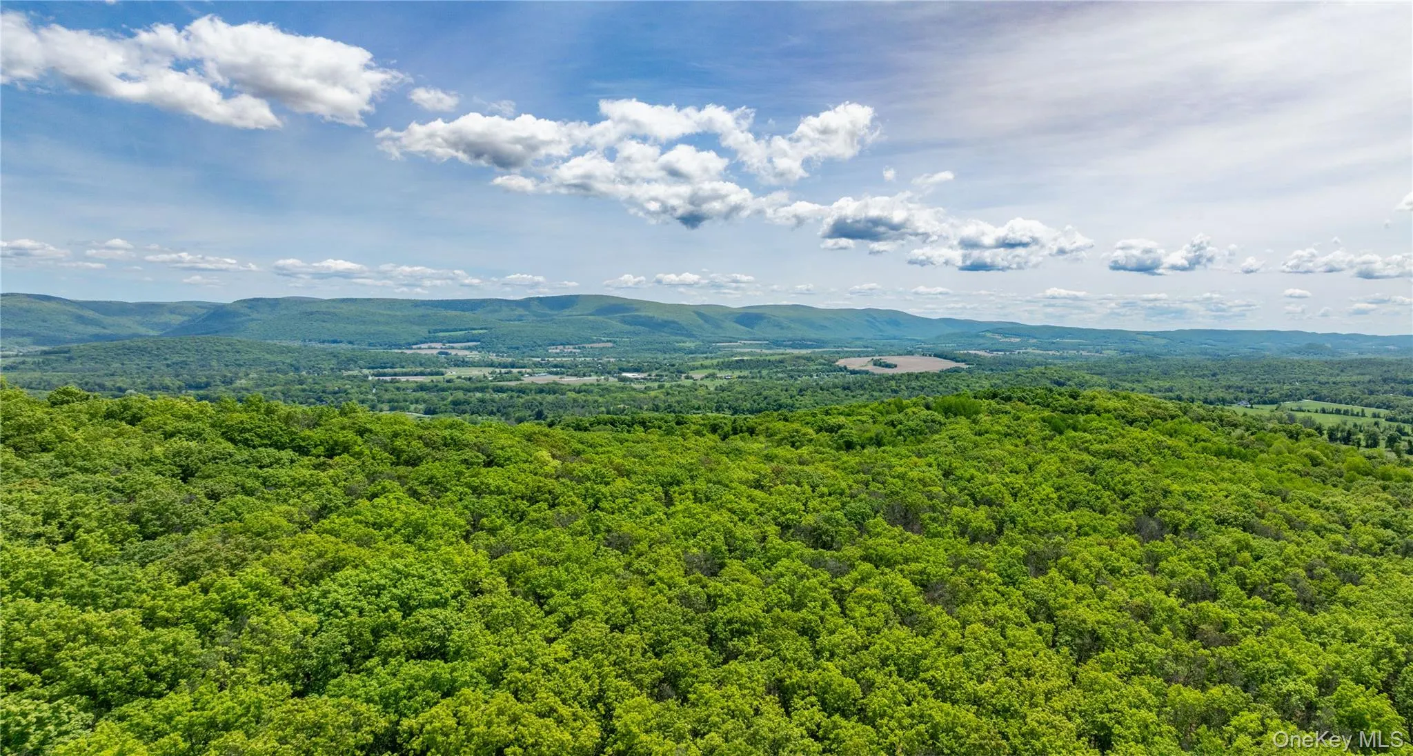 Drone / aerial view of a heavily wooded area and a mountain backdrop Drone / aerial view of a heavily wooded area and a mountain backdrop