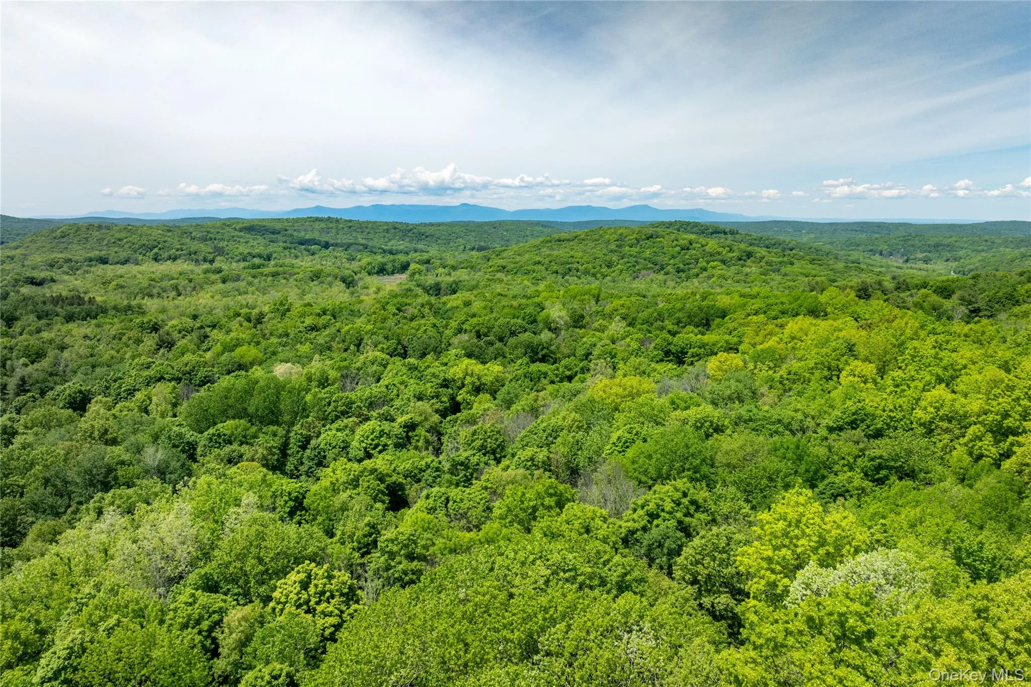 Aerial view of a heavily wooded area Aerial view of a heavily wooded area