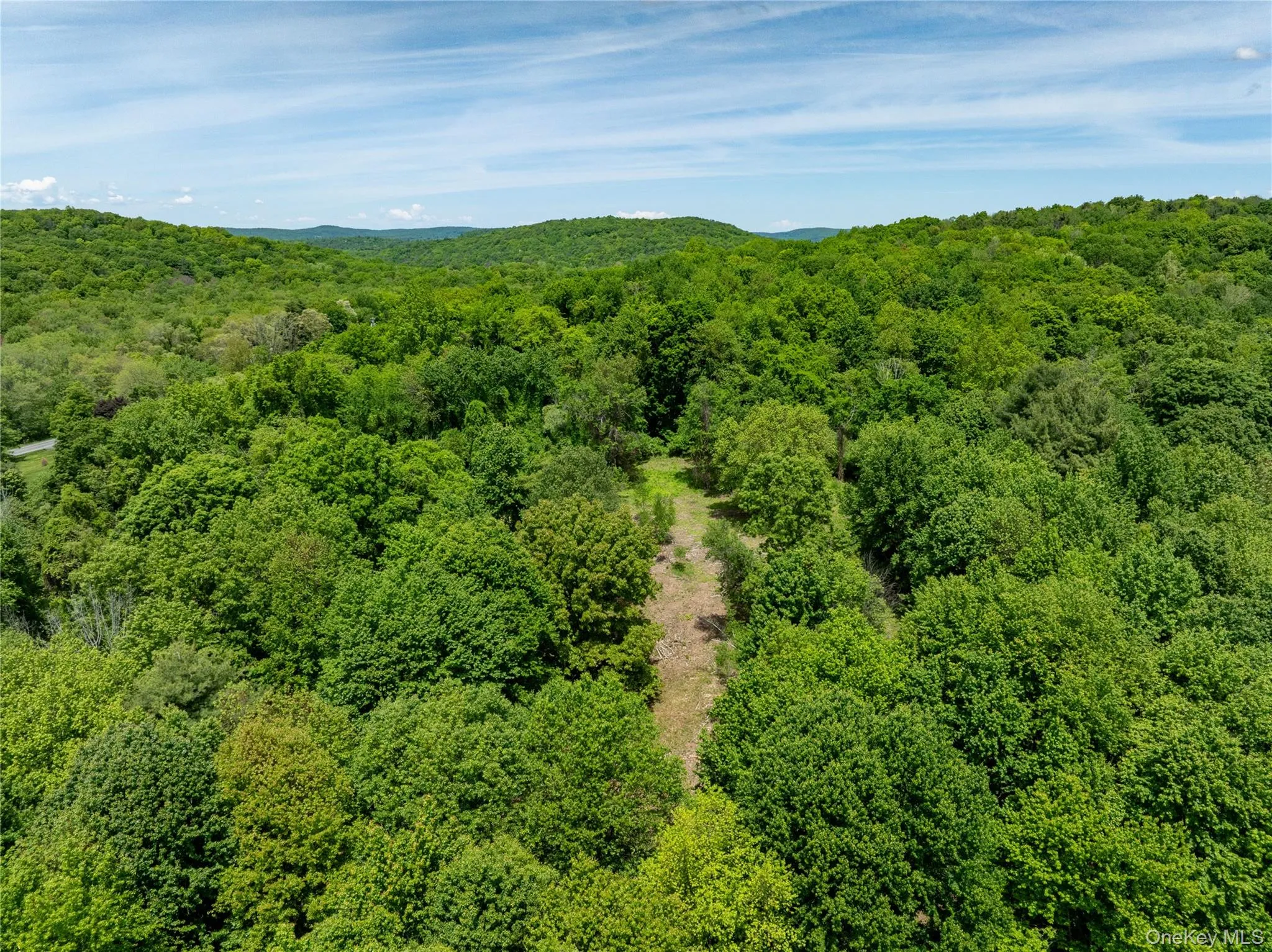 View of mountain backdrop featuring a forest View of mountain backdrop featuring a forest