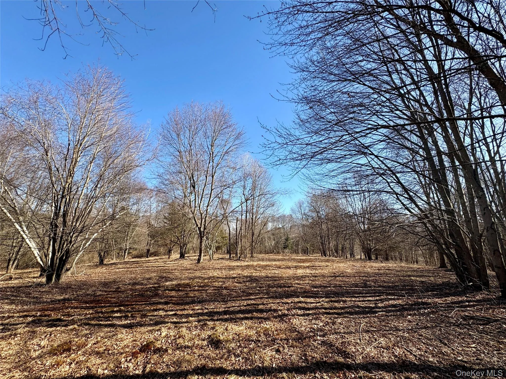 00 Route 7, Copake, NY, ,Land,For Rent,Route 7,0,838673 00 Route 7, Copake, NY, ,Land,For Rent,Route 7,0,838673
