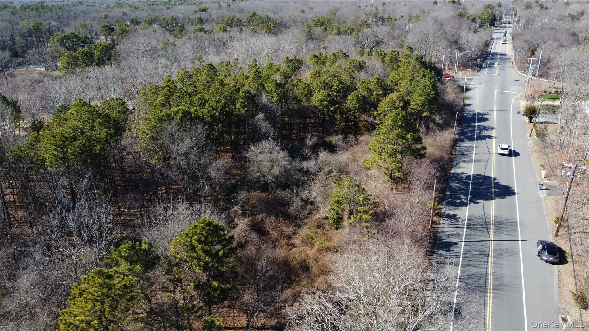Drone / aerial view featuring a forest view Drone / aerial view featuring a forest view