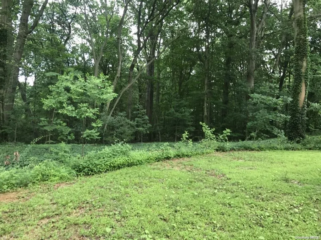 View of yard featuring a forest view View of yard featuring a forest view