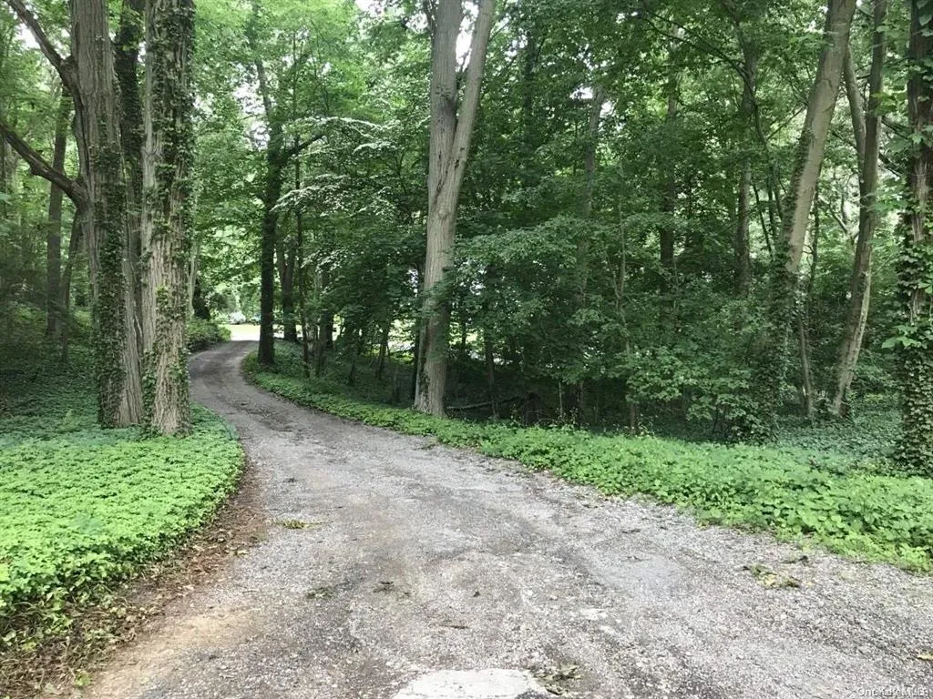 View of road featuring a forest view View of road featuring a forest view