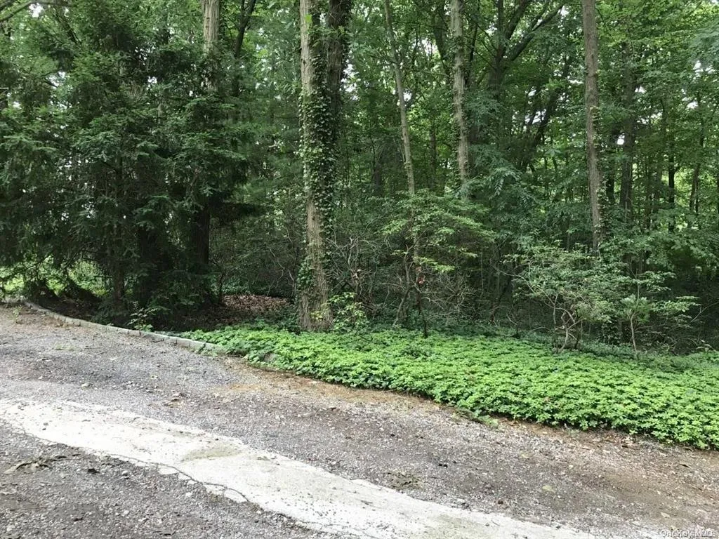 View of street featuring a wooded view View of street featuring a wooded view