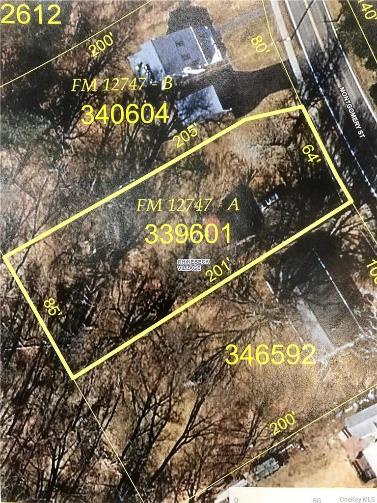 County Site Aerial View of the Lot County Site Aerial View of the Lot