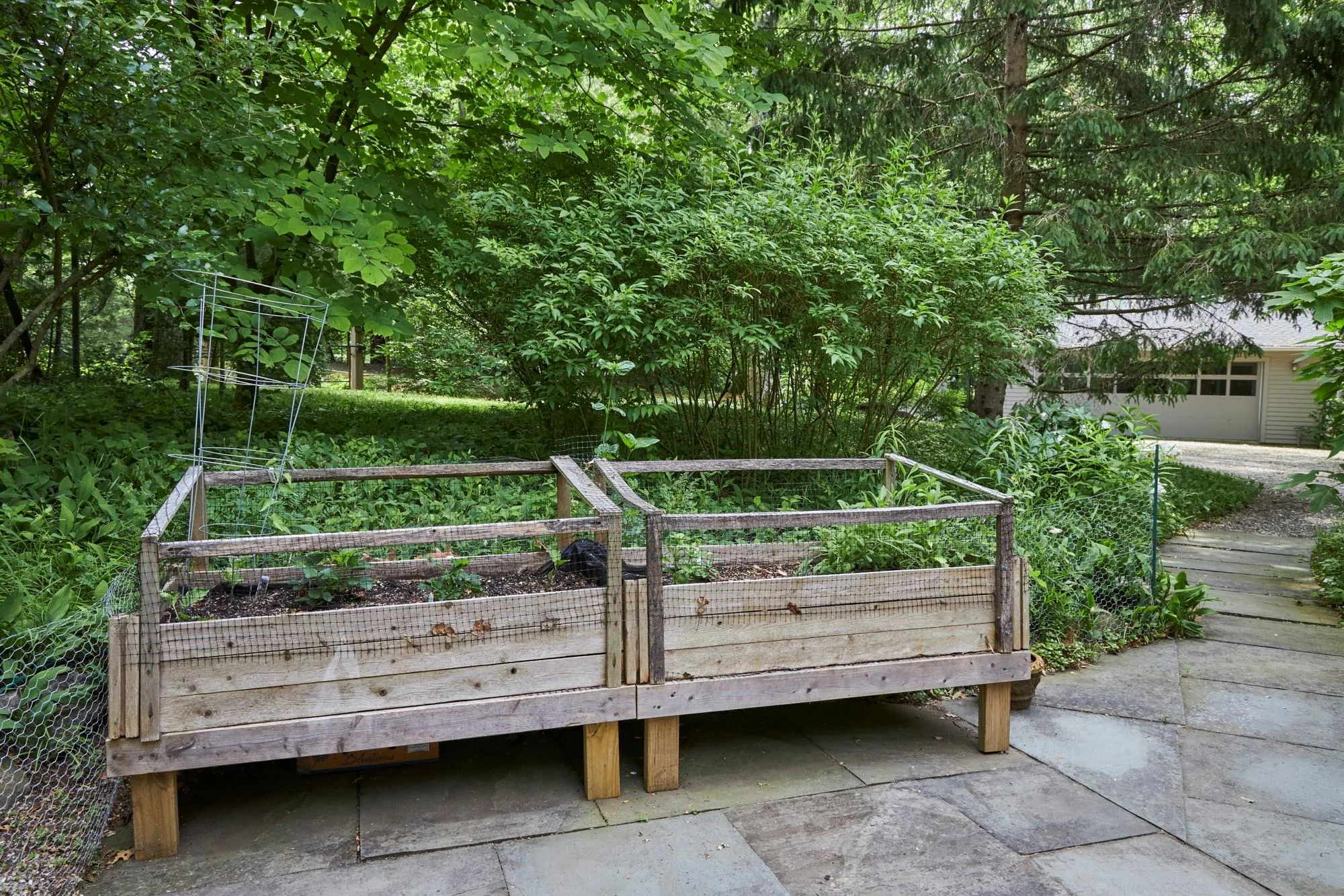 Herb garden Herb garden