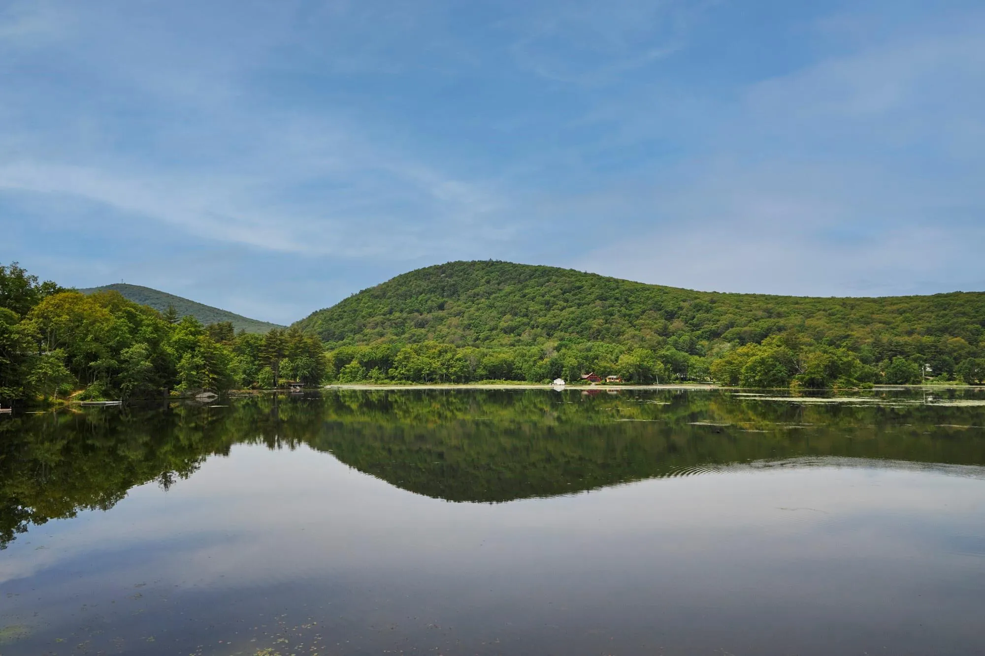 Water view featuring a mountain view and a view of trees Water view featuring a mountain view and a view of trees