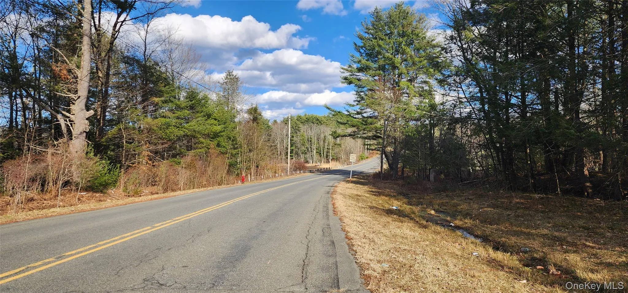 View of asphalt road with a wooded view View of asphalt road with a wooded view