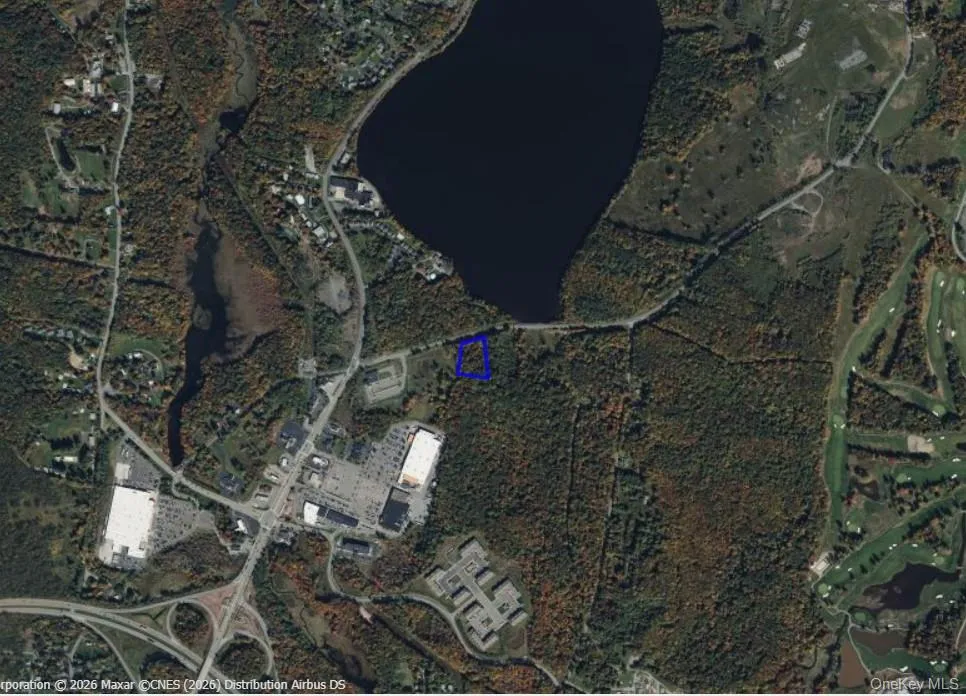 42 Concord Road, Thompson, NY, ,Land,For Rent,Concord,0,839813 42 Concord Road, Thompson, NY, ,Land,For Rent,Concord,0,839813