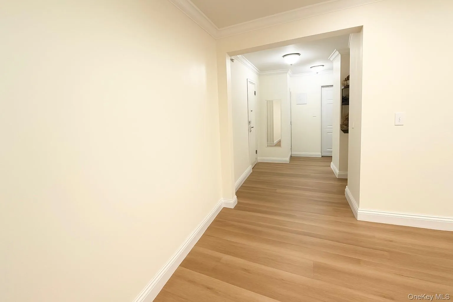 Hallway featuring light planked flooring and ornamental molding Hallway featuring light planked flooring and ornamental molding