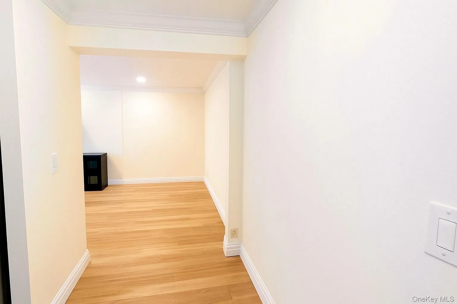 Hallway with light planked flooring, crown molding, and recessed lighting Hallway with light planked flooring, crown molding, and recessed lighting