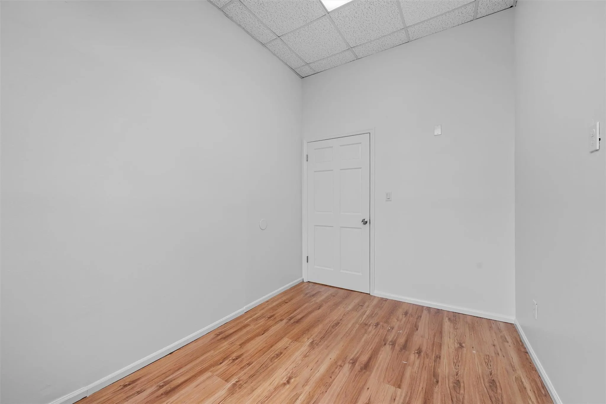 Spare room featuring baseboards, a drop ceiling, and light wood finished floors Spare room featuring baseboards, a drop ceiling, and light wood finished floors