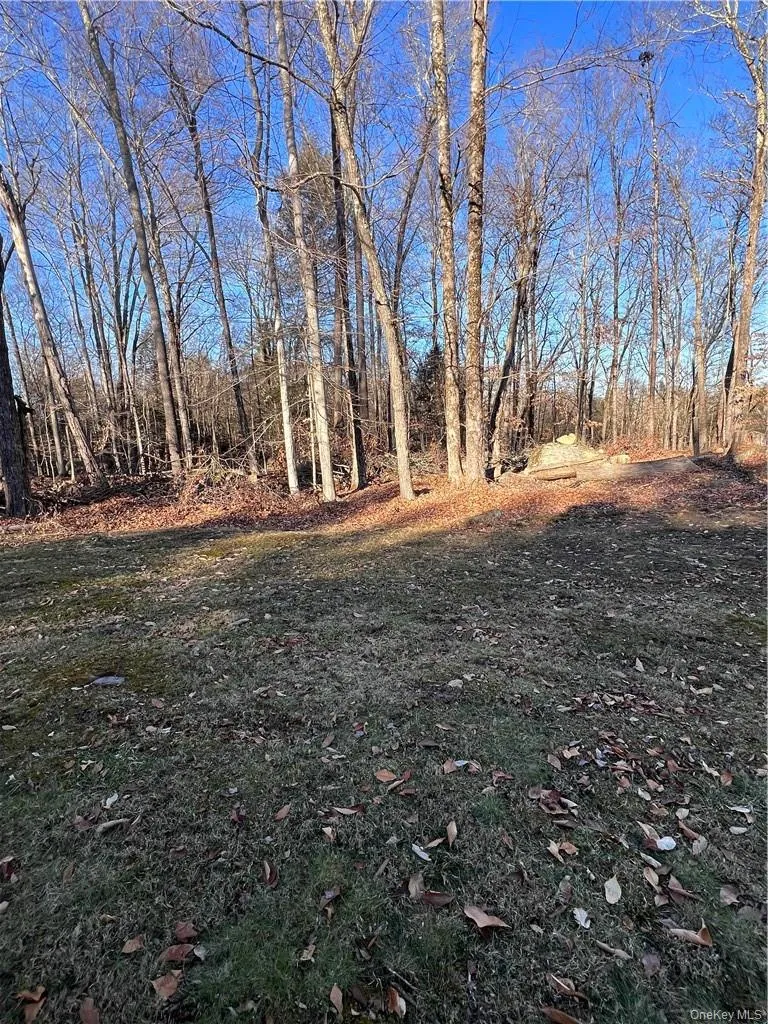45 Adirondack Trail, Bethel, NY, 3 Bedrooms Bedrooms, 6 Rooms Rooms,2 BathroomsBathrooms,Residential,For Rent,Adirondack,0,841154 45 Adirondack Trail, Bethel, NY, 3 Bedrooms Bedrooms, 6 Rooms Rooms,2 BathroomsBathrooms,Residential,For Rent,Adirondack,0,841154