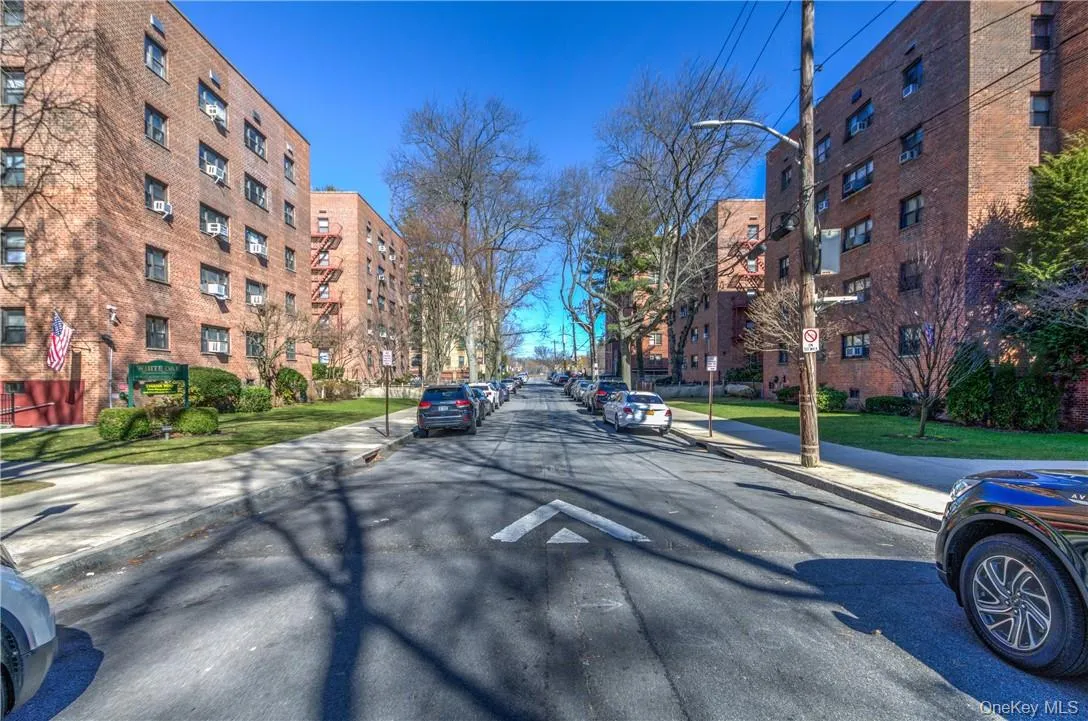 Lovely tree lined street. Lovely tree lined street.