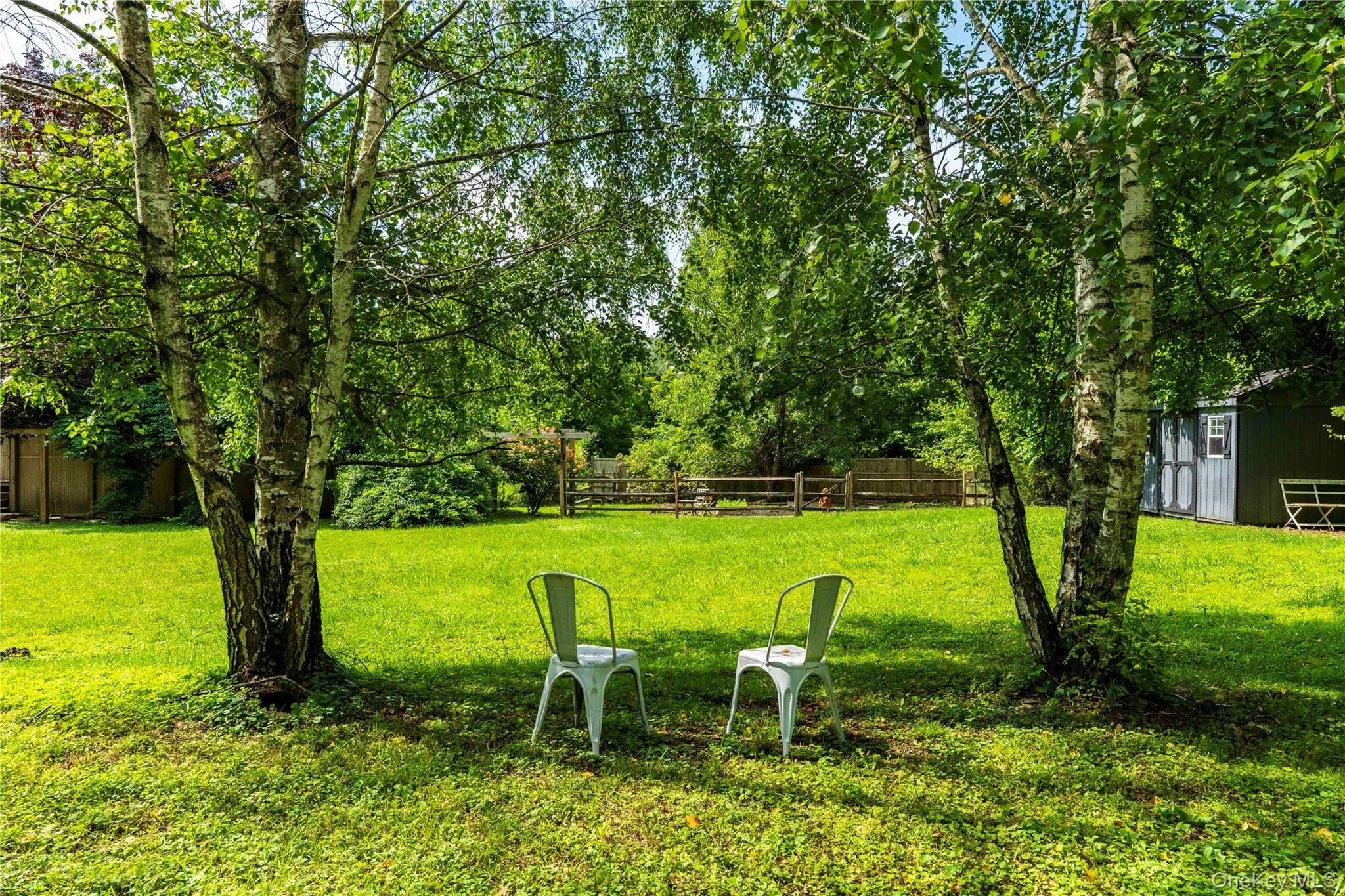 A Large Variety of Mature Trees & Bushes A Large Variety of Mature Trees & Bushes