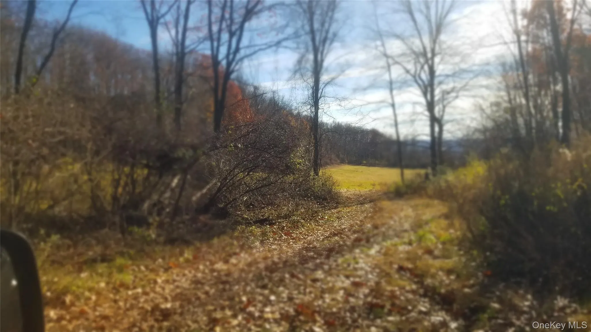 View of nature featuring a forest view View of nature featuring a forest view