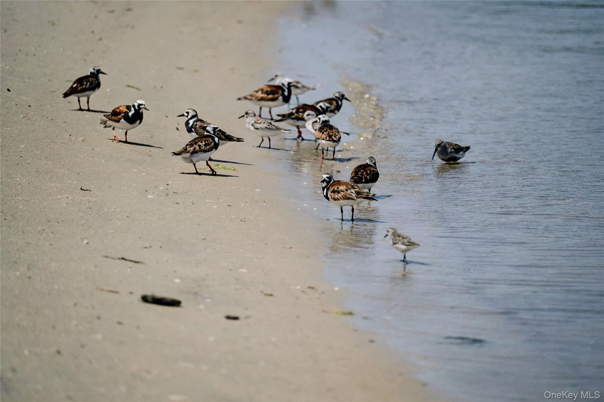 View of water feature View of water feature