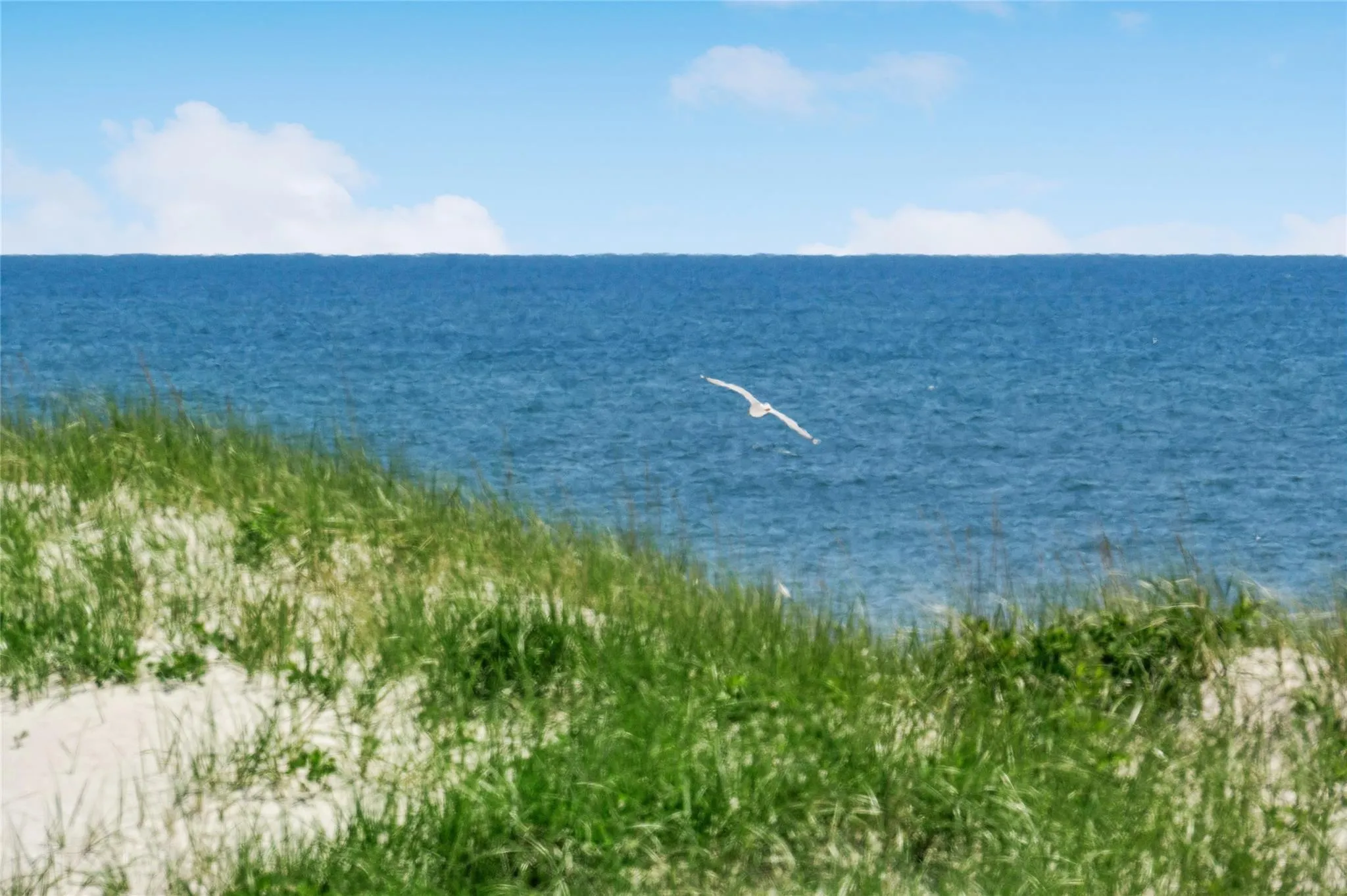 Property view of water Property view of water