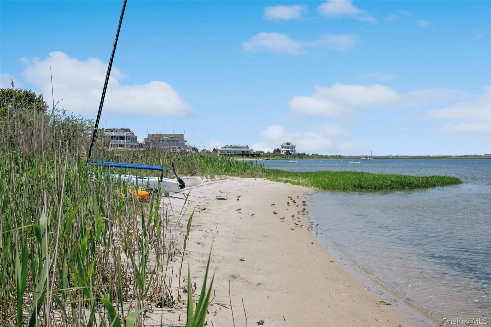 Water view with a beach view Water view with a beach view