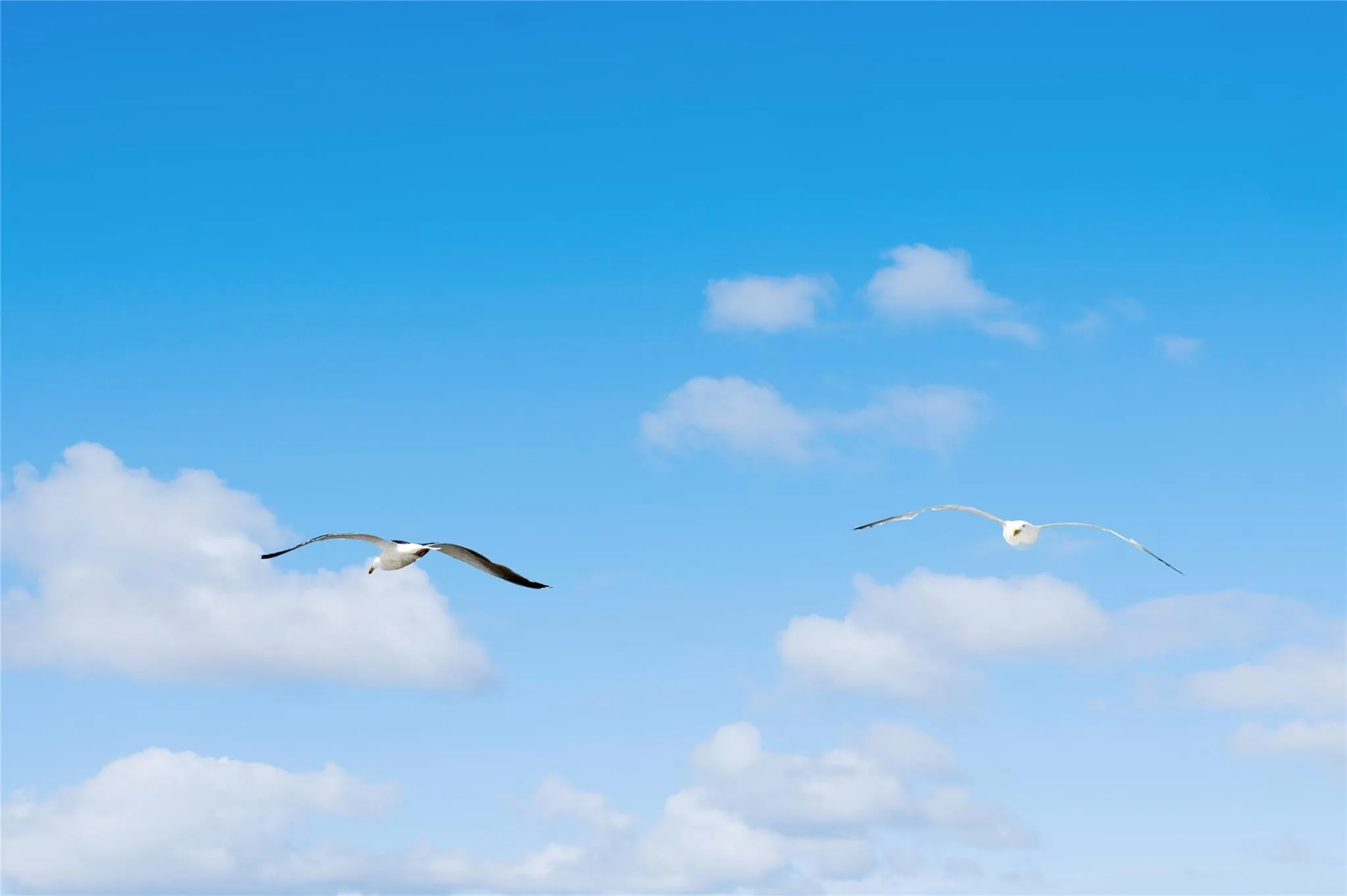 846 Dune Road, Southampton, NY, 3 Bedrooms Bedrooms, 5 Rooms Rooms,2 BathroomsBathrooms,Residential Lease,Idx,Dune,0,843761 846 Dune Road, Southampton, NY, 3 Bedrooms Bedrooms, 5 Rooms Rooms,2 BathroomsBathrooms,Residential Lease,Idx,Dune,0,843761