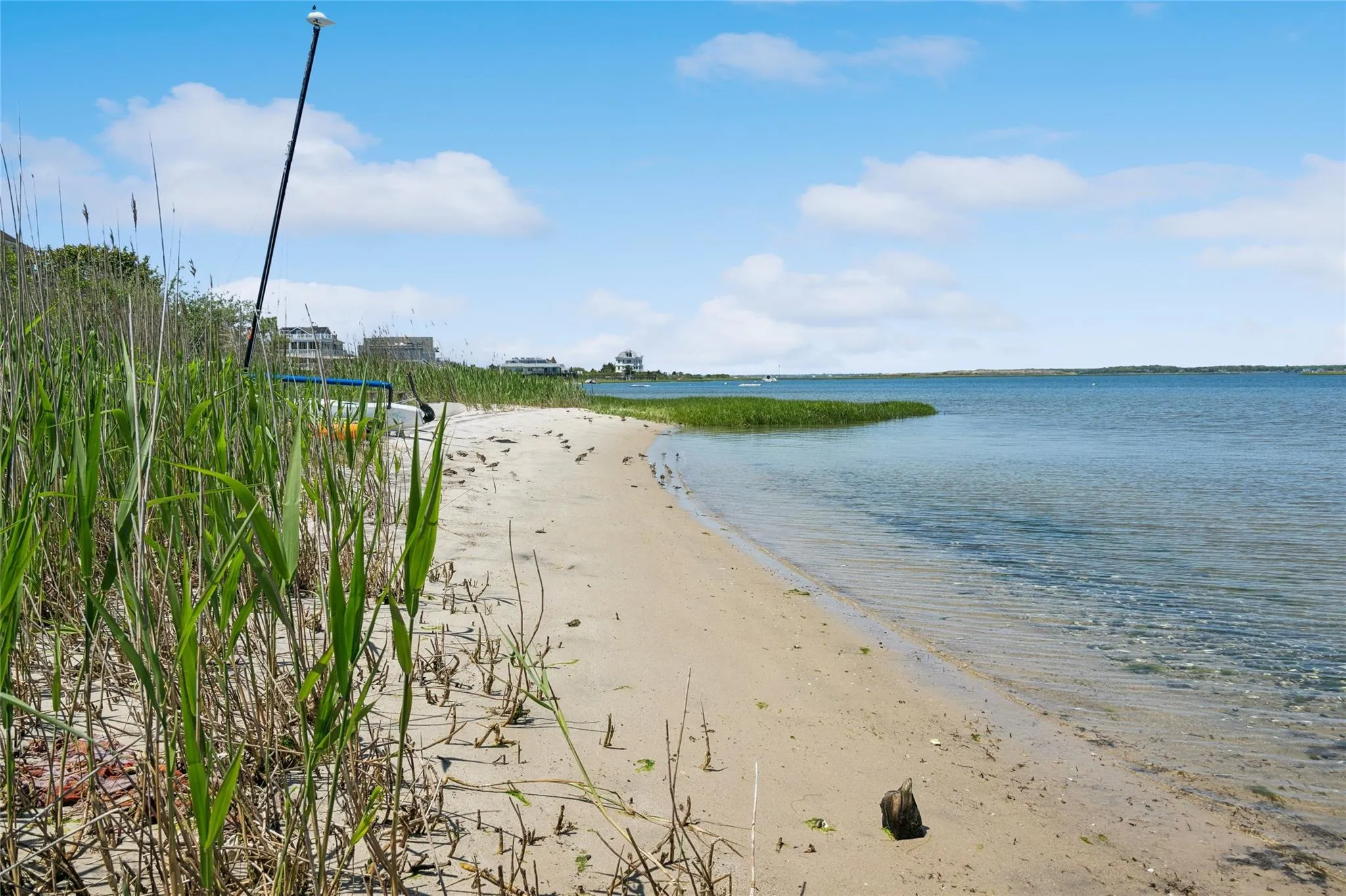View of water feature with a beach view View of water feature with a beach view