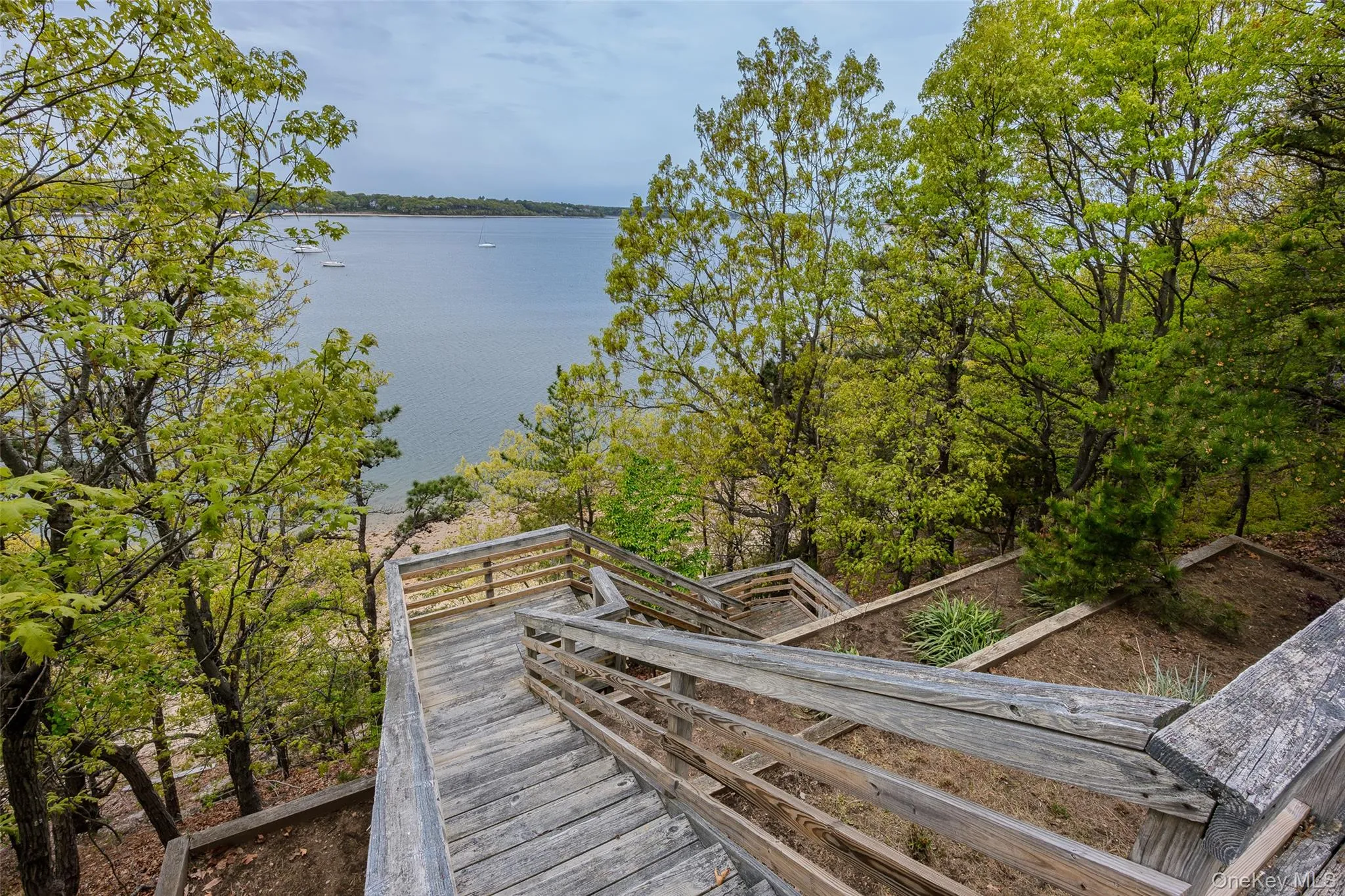 10 Pine Path, Brookhaven, NY, 8 Bedrooms Bedrooms, 26 Rooms Rooms,4 BathroomsBathrooms,Residential,For Rent,Pine,0,843812 10 Pine Path, Brookhaven, NY, 8 Bedrooms Bedrooms, 26 Rooms Rooms,4 BathroomsBathrooms,Residential,For Rent,Pine,0,843812