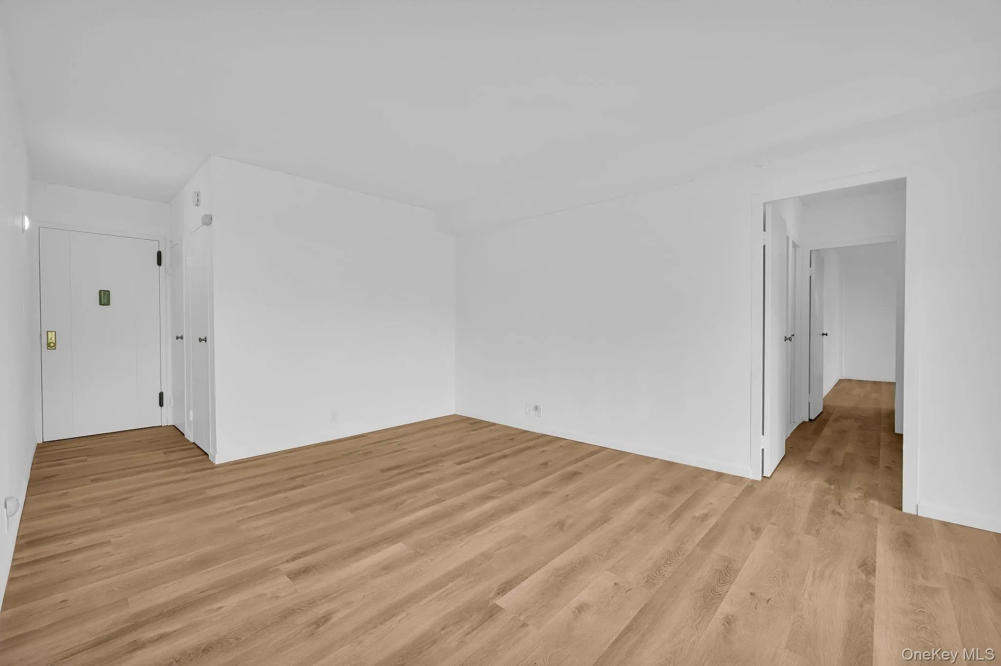 Living room with light wood finished floors Living room with light wood finished floors