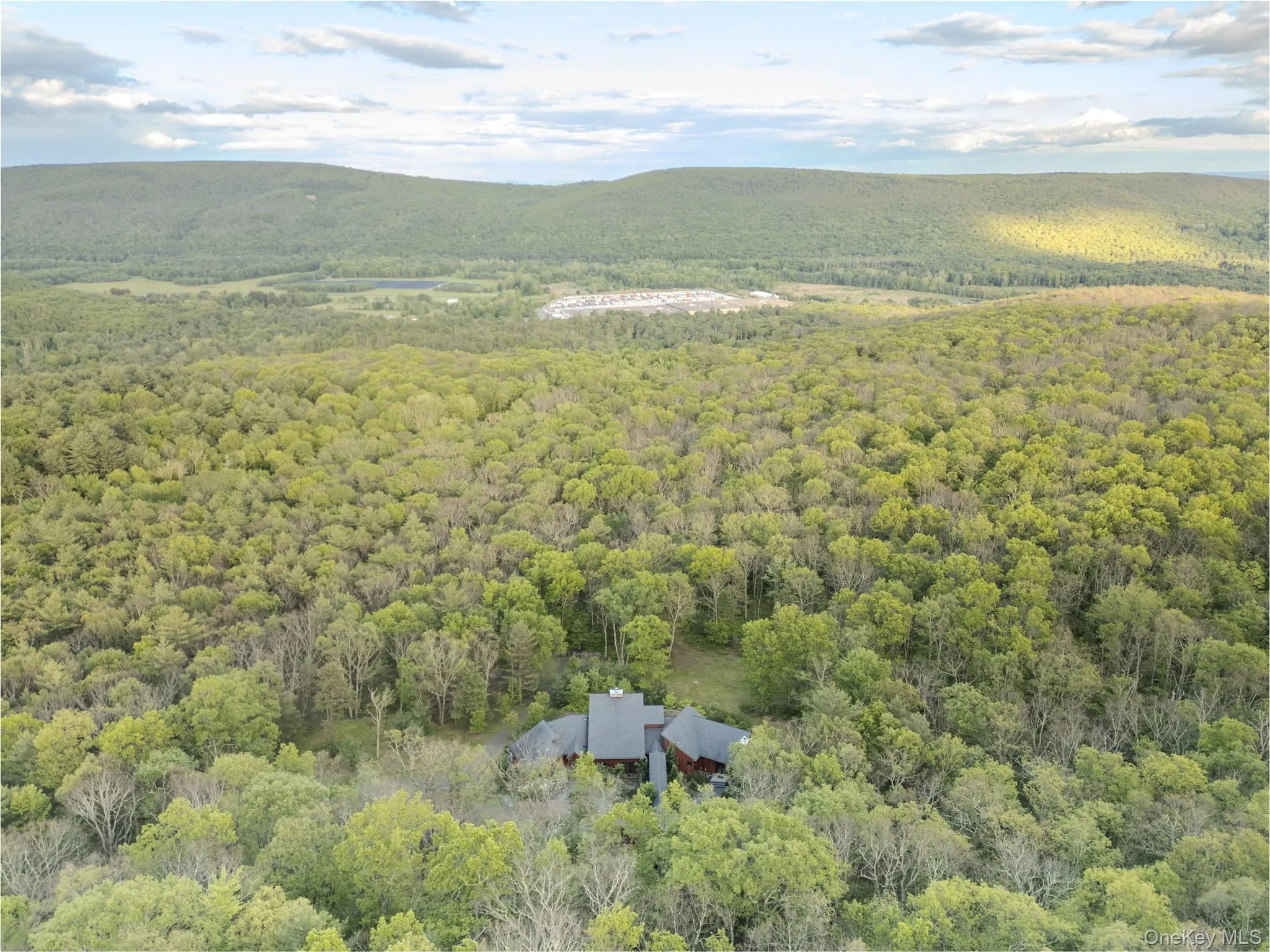 Aerial view of a forest and a mountainous background Aerial view of a forest and a mountainous background