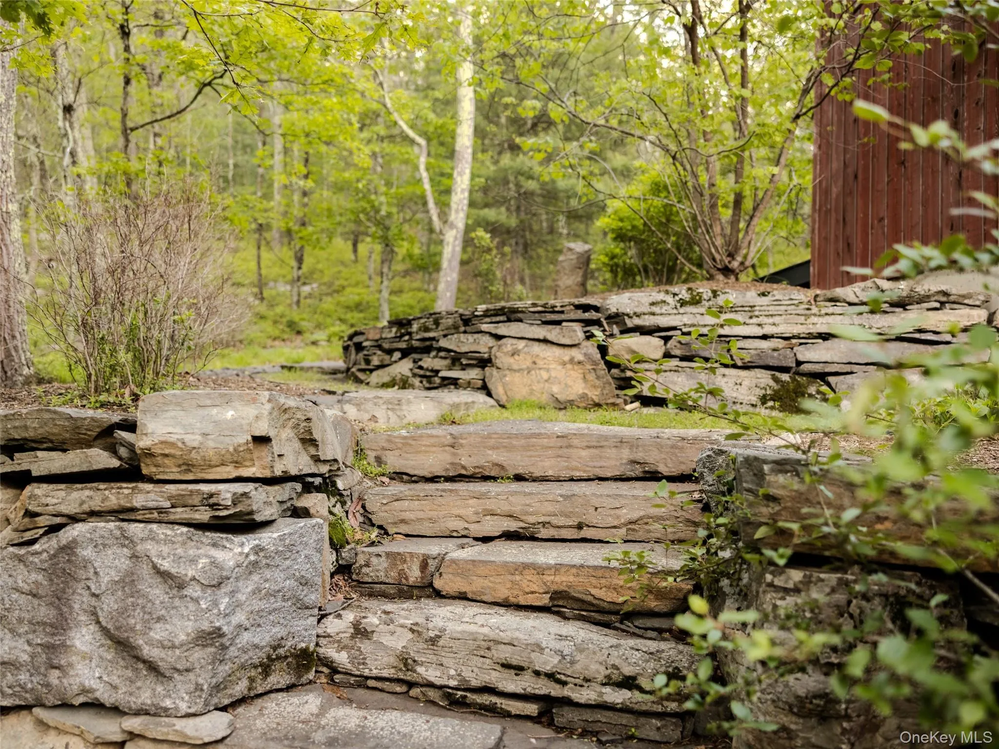 View of yard featuring a wooded view View of yard featuring a wooded view