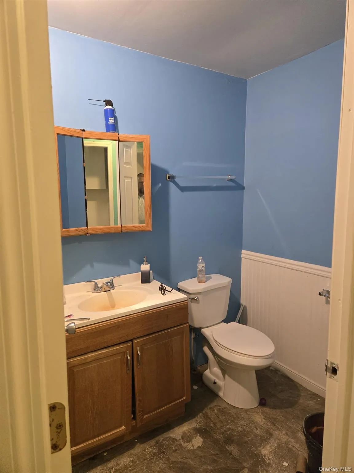 Bathroom with a wainscoted wall, toilet, and vanity Bathroom with a wainscoted wall, toilet, and vanity