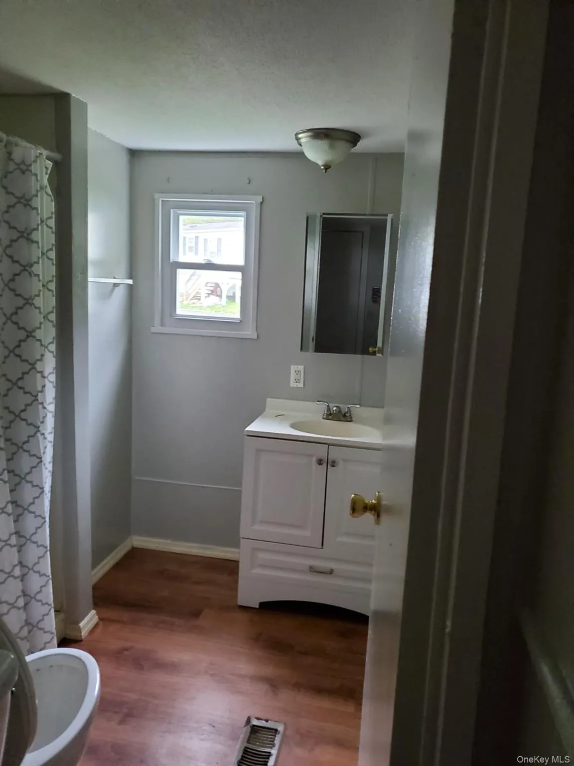 Bathroom featuring vanity, a shower with shower curtain, baseboards, visible vents, and wood finished floors Bathroom featuring vanity, a shower with shower curtain, baseboards, visible vents, and wood finished floors