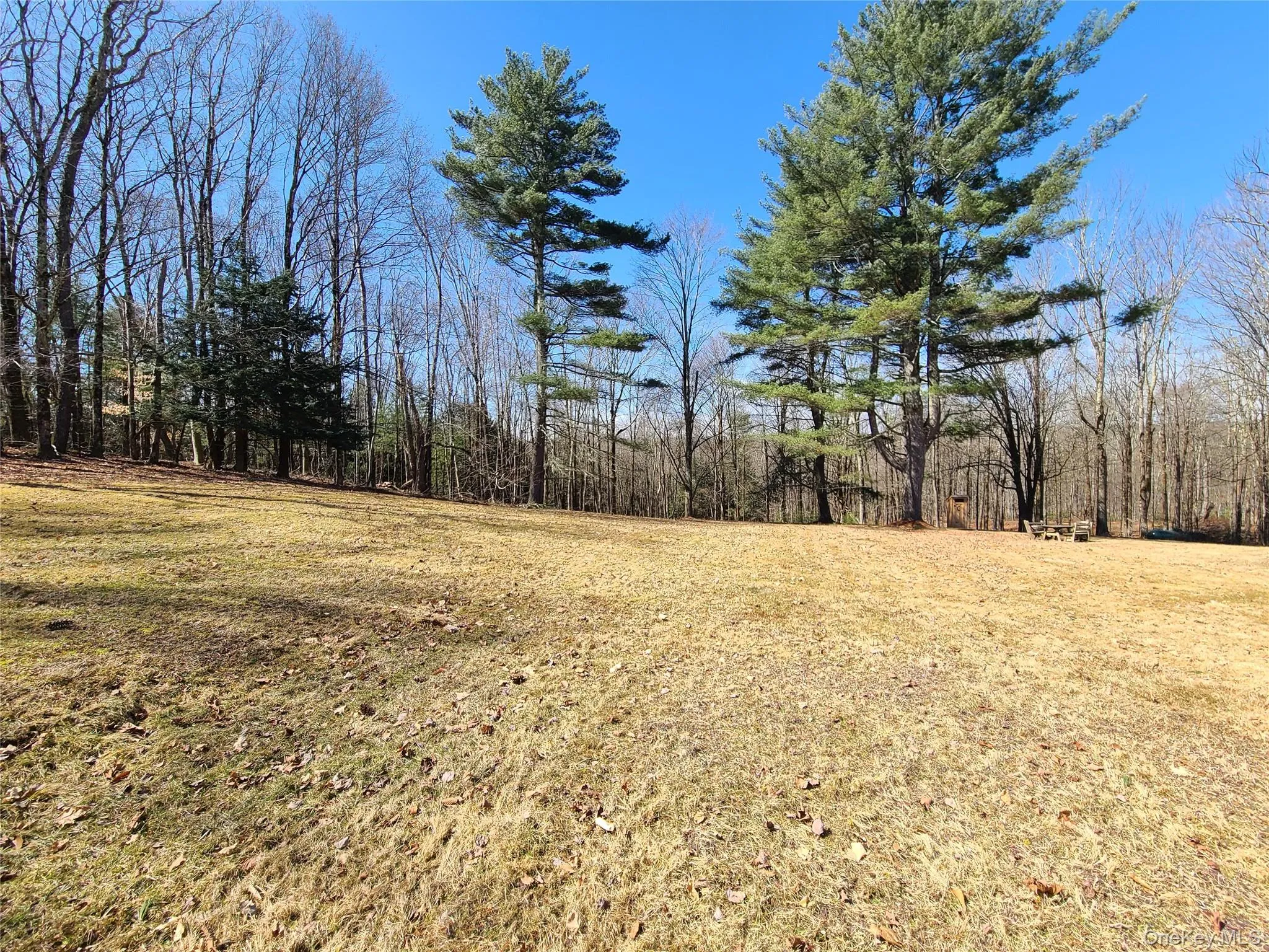 View of yard featuring a forest view View of yard featuring a forest view