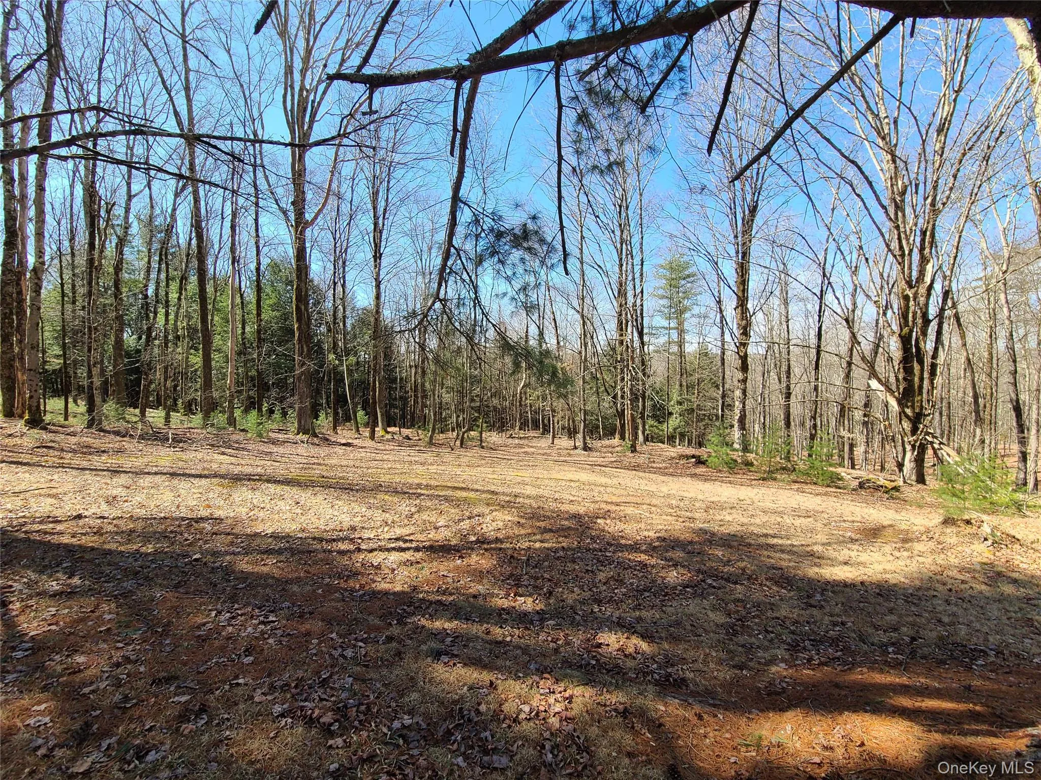 View of nature with a wooded view View of nature with a wooded view